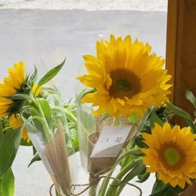 乐发app下载安装官网